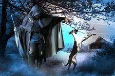 Will and his loyal, sweet, adorable, heartbreaking, awesome, makes me ...