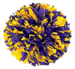 Purple and Gold Pom Poms