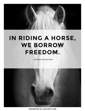 in-riding-a-horse-we-borrow-freedom