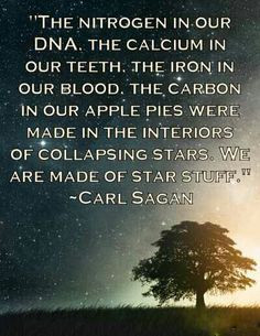 Carl Sagan More