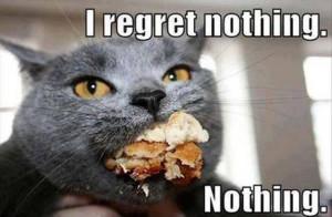 Regret Nothing - Funny Cat Meme