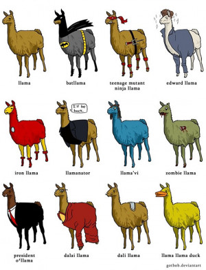 Funny Llama Quotes Funny llama quotes funny llama