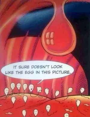 It sure doesn't look like the egg in this picture