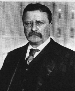 Grover Cleveland Benjamin harrison William Mckinley Theodore Roosevelt ...