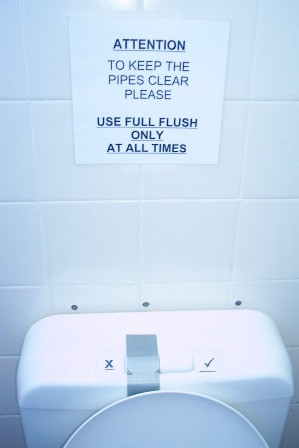 Sayings About Flushing the Toilet