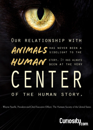 Our relationship with animals has never been a sidelight to the human ...