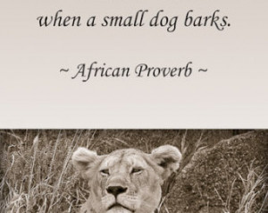 ... Inspirational Quote, African Proverb, Animal Photo, Nature Photo