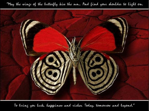 Butterfly Quotes (48)