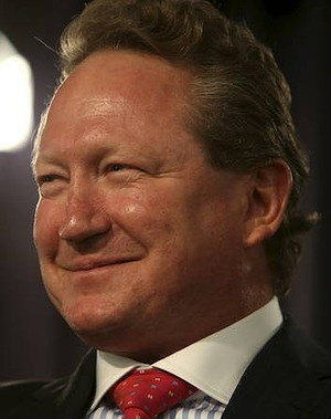 Fortescue chief Andrew Forrest. Photo: Penny Bradfield