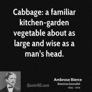 Cabbage: a familiar kitchen-garden vegetable about as large and wise ...