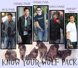 Werewolf Pack Names Twilight saga - the wolf pack
