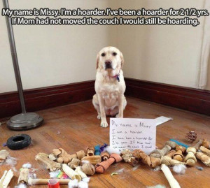 Funny dog – Im a hoarder