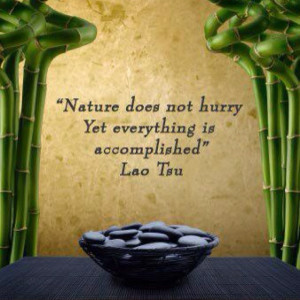 Nature does not hurry ...