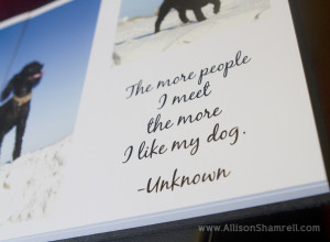 premium album preview quote