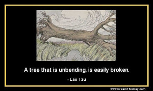 The tree that is unbending is easily broken.