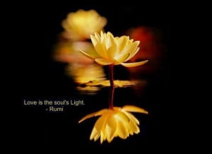 Rumi Quotes, Love Quotes, Soul Quotes, Light Quotes, Quotes on Soul ...