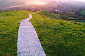 The life path you have created and the changes that will take place ...