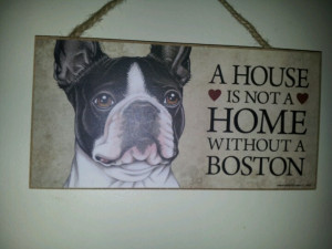 Boston terrier dog quote.
