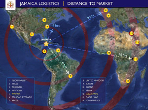 Jamaica, why a logistics hub?