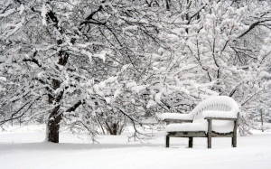 beautiful-winter-beautiful-beauty-bench-lovely-nature-peaceful-pretty ...
