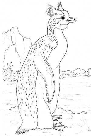 Schwere Mandalas Zum