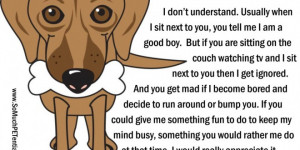 home dog quotes dog quotes hd wallpaper 19