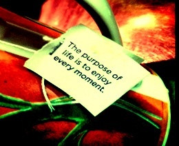 Yogi tea-inspirational quote!!