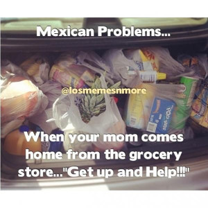 Mexican Problem #9371 - Mexican Problems