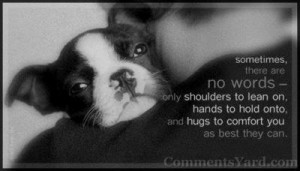 Send this comment to your friend in E-mail