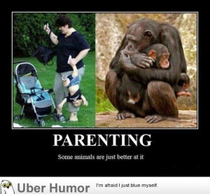 Add new comment: Cancel reply