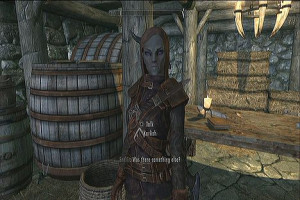 Skyrim Thieves Guild Armor