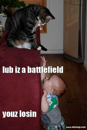 File Name : lolcat15-PatBenetar.jpg Resolution : 500 x 747 pixel Image ...