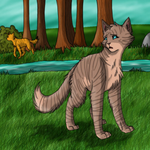 Warrior Cats Forever! discussion