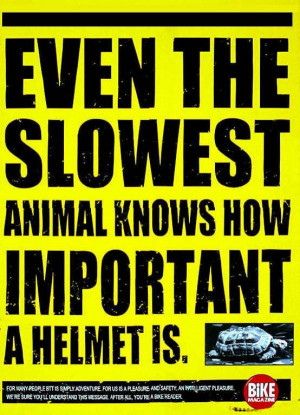 ... The Slowest Animal Knows How Important A Helmet Is ” ~ Safety Quote