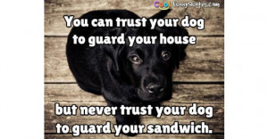 tf-trust-your-dog.jpg