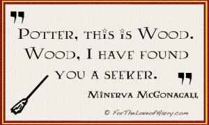Professor Minerva McGonagall Quote