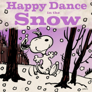 we are finally getting snow tomorrow! yea!