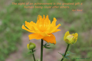 rand quotes – the gift of achievement inspirational photos quotes ...