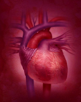 Heart Surgery : An Analogy
