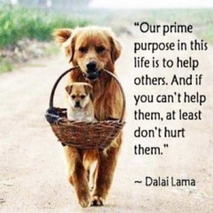 ... And If You Can’t Help Them At Least Don’t Hurt Them - Animal Quote
