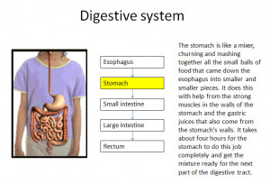 of the original flow chart