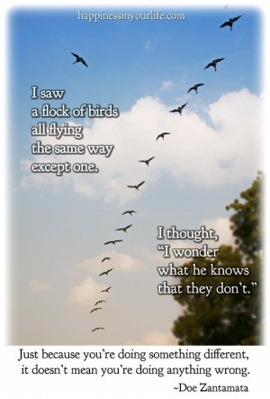 Saw A Flock Of Birds All Flying