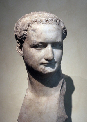 Domitian Roman Emperor Portrait of the emperor