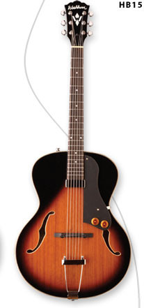 Hollow Body Electric Guitar...