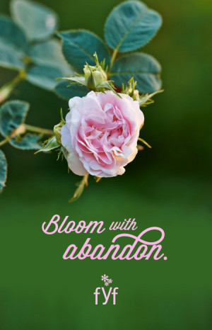 Flower inspirational quote: Bloom with abandon. By From You Flowers.