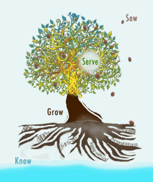 Discipleship Tree Graphic