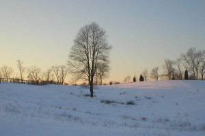 Vintage Winter Farm Scene