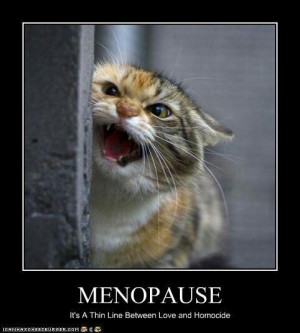funny humor cat menopause women