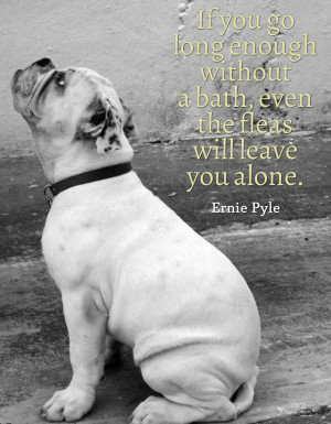 Quotes Get You Through Your