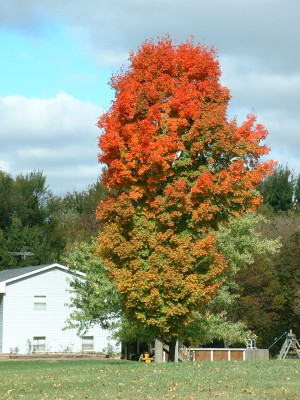 The fall literary season is almost here! That means great launches ...